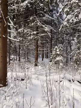 Участок в Московская область, Волоколамский муниципальный округ, ...