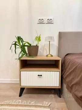 Студия Санкт-Петербург ул. Пахомовская, 14к2 (21.0 м)