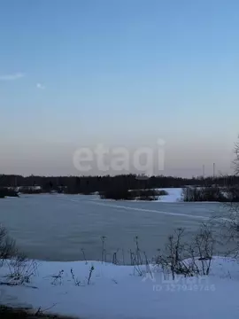 Участок в Московская область, Дмитровский муниципальный округ, д. ...