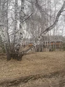 Участок в Новосибирская область, Новосибирск Молния ...