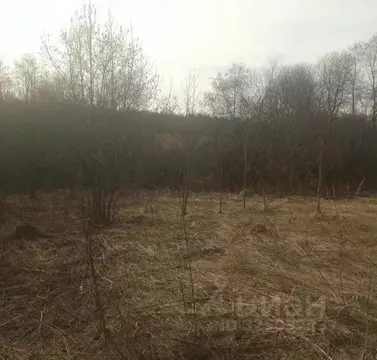 Участок в Московская область, Дмитровский муниципальный округ, д. ...