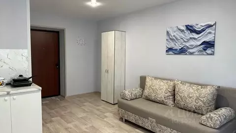 Студия Самарская область, Самара Бобруйская ул., 116 (25.0 м)