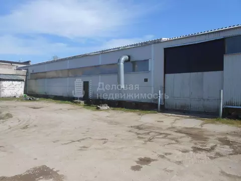 Склад в Новгородская область, Новгородский район, Панковское городское ...