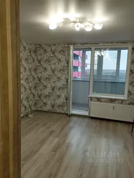 Студия Санкт-Петербург пос. Шушары, Московское ш., 262к1 (23.1 м)