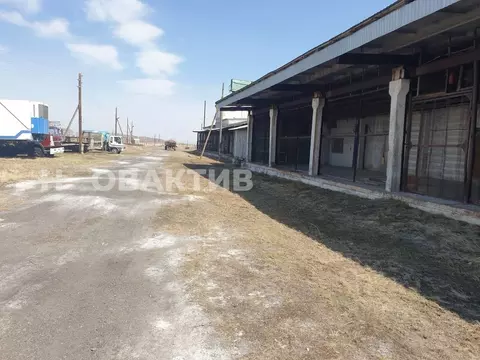 Производственное помещение в Новосибирская область, Чистоозерное рп ...