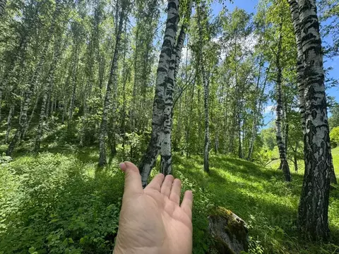 Участок в Алтайский край, Алтайский район, Айский сельсовет, с. Ая ул. ...