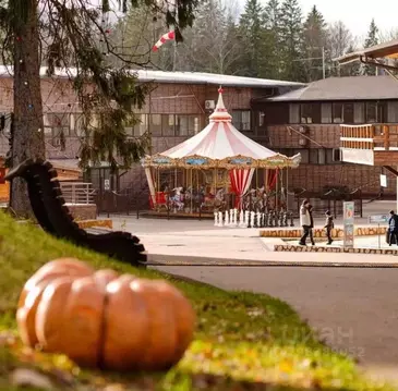 Комната Московская область, Пересвет Сергиево-Посадский район, ...