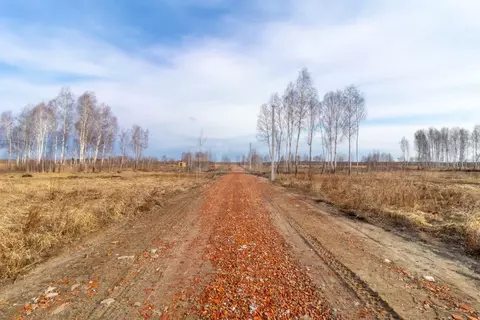 Участок в Тюменская область, Нижнетавдинский район, Тюневское с/пос, 7 ...
