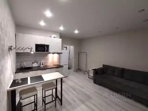 Студия Псковская область, Псковский район, Завеличенская волость, д. ...