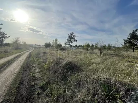 Участок в Воронежская область, Рамонский район, Новоживотинновское ...