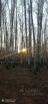 Участок в Тульская область, Тула городской округ, с. Осиновая Гора, ...