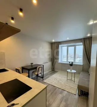 Студия Пермский край, Пермь просп. Декабристов, 37 (17.2 м)