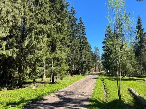Участок в Московская область, Дмитровский муниципальный округ, ...