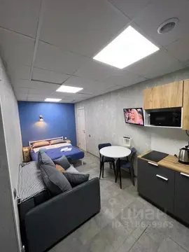 1-к кв. Свердловская область, Екатеринбург ул. Маяковского, 29 (20.0 ...