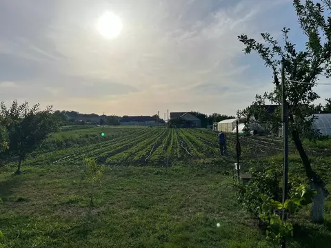Участок в Краснодарский край, Темрюкский район, Курчанское с/пос, пос. ...