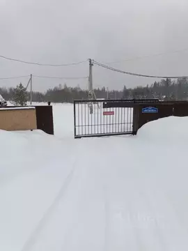 Участок в Московская область, Можайский муниципальный округ, Искона ...