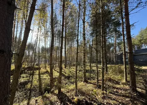 Участок в Ленинградская область, Всеволожское городское поселение, ...