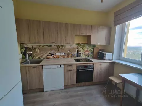 2-к кв. Нижегородская область, Нижний Новгород д. Афонино, ул. Красная ...