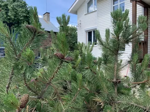 Коттедж в Самарская область, Самара Журавлевская ул., 32 (262 м)