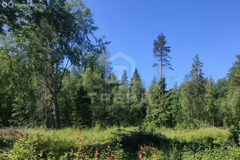 Участок в Ларионовское сельское поселение, садоводческое ...