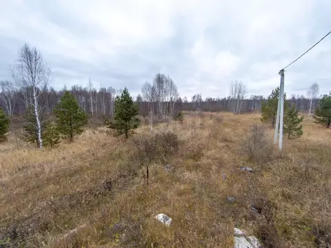 Участок в Тюменская область, Нижнетавдинский муниципальный округ, ...