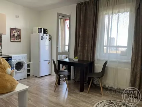 Студия Санкт-Петербург ул. Чарушинская, 24к1 (20.6 м)