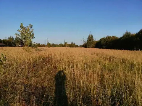Участок в Московская область, Коломна городской округ, д. Санино пер. ...