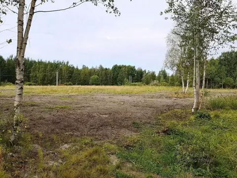 Участок в Ленинградская область, Выборгский район, Советское городское ...