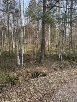 Участок в Ленинградская область, Волховский район, Кисельнинское ...