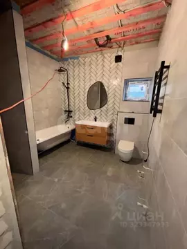 Дом в Воронежская область, с. Новая Усмань ул. Полянка, 21А (114 м)