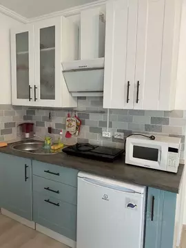 Студия Ленинградская область, Ломоносовский район, Виллозское ...