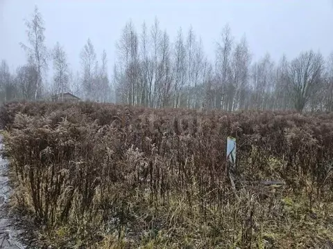 Участок в Брянская область, Брянский район, Снежское с/пос, с. ...