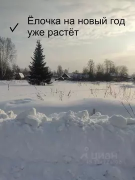 Участок в Пермский край, Нытвенский муниципальный округ, пос. Станции ...