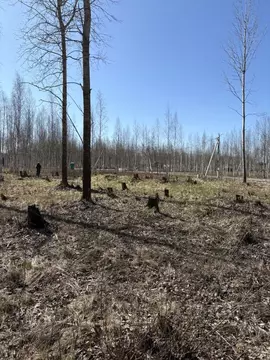 Участок в Санкт-Петербург, Санкт-Петербург, Павловск Павлов Скай кп, ...