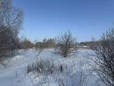 Участок в Московская область, Серебряные Пруды муниципальный округ, с. ...