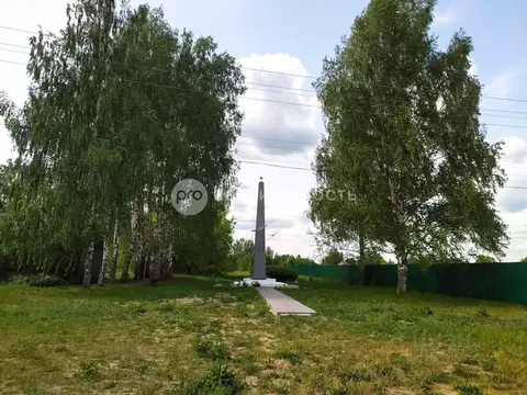 Участок в Рязанская область, Спасский район, Федотьевское с/пос, с. ...