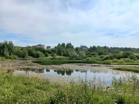 Участок в Московская область, Дмитровский муниципальный округ, с. ...