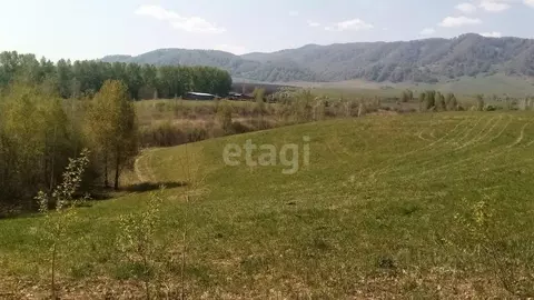 Участок в Алтайский край, Алтайский район, с. Алтайское ул. Революции ...