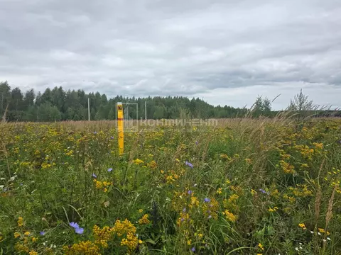 Участок в Владимирская область, Ковровский район, Малыгинское с/пос, ...