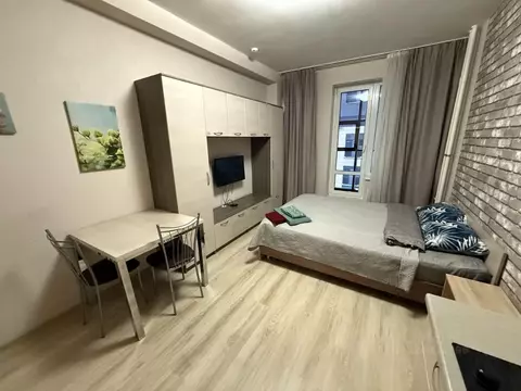 Студия Санкт-Петербург Пулковское ш., 14Е (24.7 м)