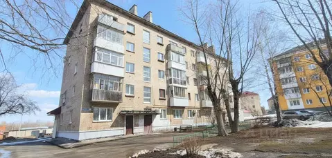 1-к кв. Пермский край, Чусовой ул. Чайковского, 24 (30.1 м)