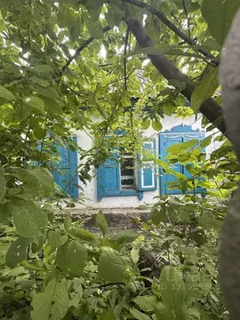 Дом в Хакасия, Усть-Абакан рп ул. Шахтерская, 9 (46 м)