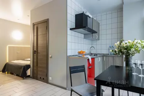 1-к кв. Санкт-Петербург Садовая ул., 28-30к55 (25.0 м)