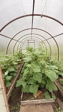 Дом в Марий Эл, Медведевский район, Сидоровское с/пос, Подборное СНТ, ...