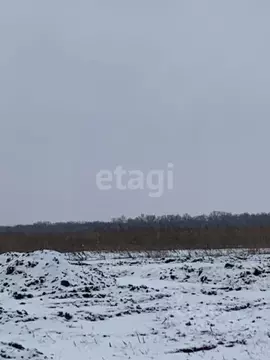 Участок в Белгородская область, Белгородский район, Головинское с/пос, ...