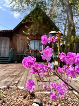 Участок в Амурская область, Благовещенск  (8.2 сот.)