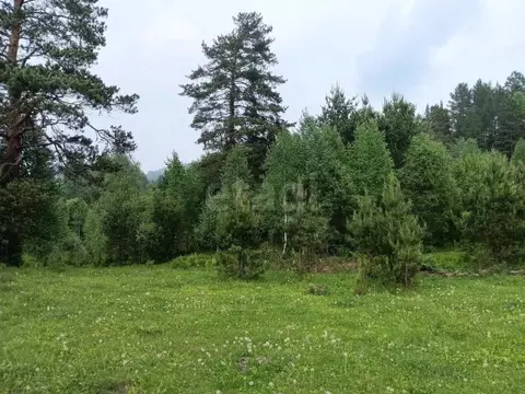 Участок в Алтай, Турочакский район, с. Старый Кебезень Совхозная ул. ...