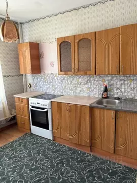 2-к кв. Челябинская область, Челябинск Южноуральская ул., 12 (50.4 м)