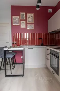 Студия Санкт-Петербург ул. Тосина, 6 (23.8 м)