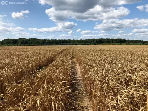 Участок в село Копорье, территория Участок Копорье (270 м)